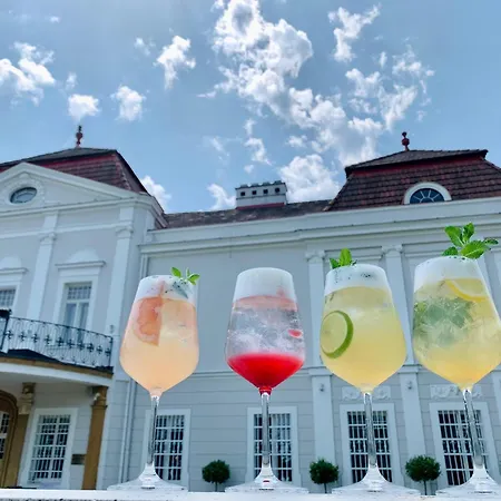 Art Kastiel Hotel Tomášov